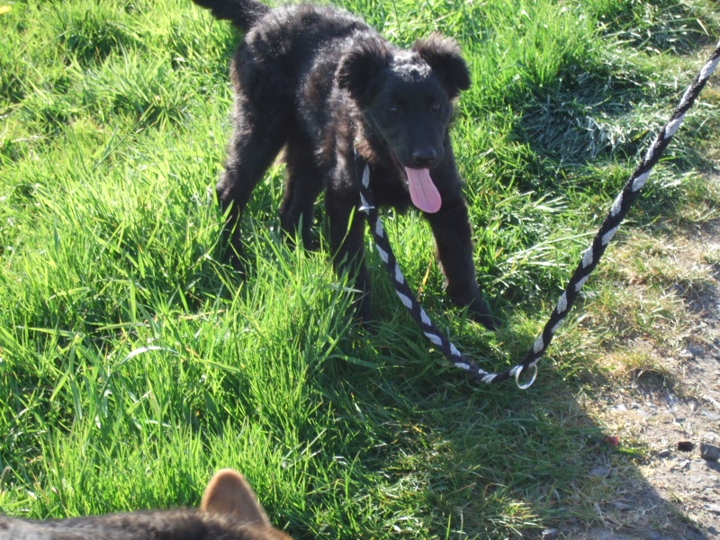 Ostern 2007 Orleshausen 082 